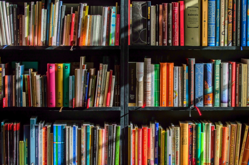 ecommerce-PEILLE-min_books_bookstore_book_reading_shop_writer_sale_books_read-822866